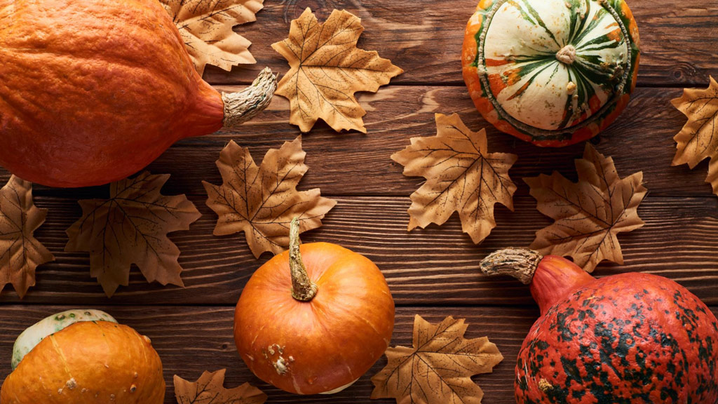 FloAdvisor #19: Why a pumpkin mask is a must to your fall beauty checklist?