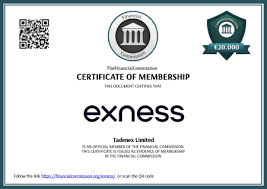 How to Leverage the Exness Partner Link for Successful Trading Networks How to Leverage the Exness Partner Link for Successful Trading Networks